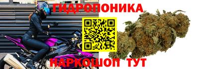 гашик Можайск