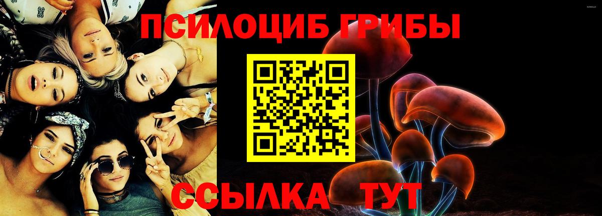 Галлюциногенные грибы прущие грибы  как найти   Южноуральск  Галлюциногенные грибы GOLDEN TEACHER  Вход с VPN 